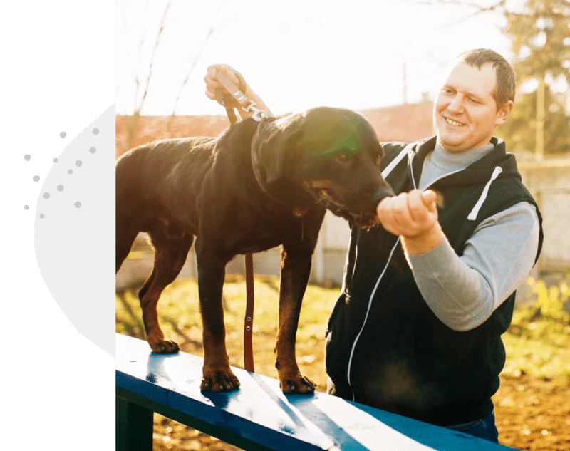 dog trainer who uses dog trainer business software